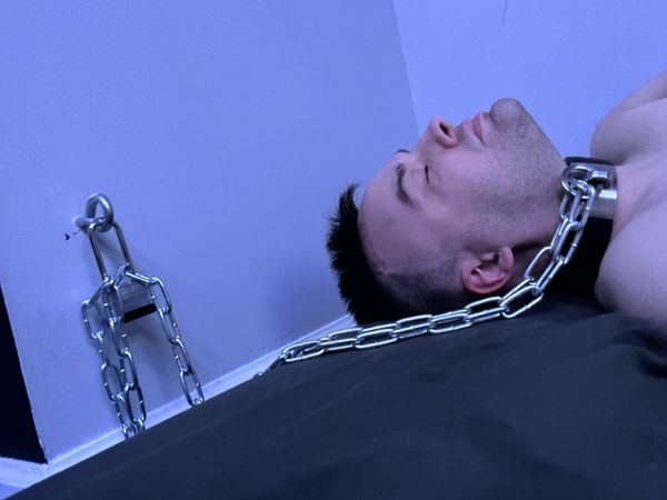 Perfectly content to be chained to a hardpoint like this